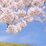 4月から社交ダンスを始めよう｜金沢市の初心者におすすめの習い事